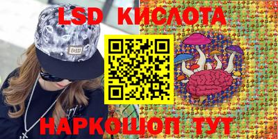 прущие крисы Кулебаки