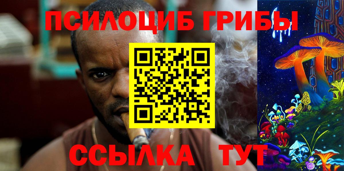 Янаул  Галлюциногенные грибы Psilocybine cubensis  Вход с VPN 